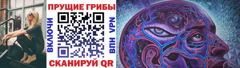 Галлюциногенные грибы мухоморы  Сольвычегодск 